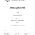 Powiększ obraz: certificate 13