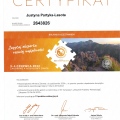 Powiększ obraz: certificate 15