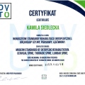 Powiększ obraz: certificate 10