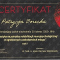 Powiększ obraz: certificate 7