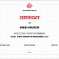 Powiększ obraz: certificate 4