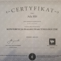 Powiększ obraz: certificate 13