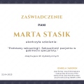 Powiększ obraz: certificate 1