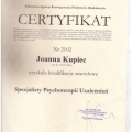 Powiększ obraz: certificate 1