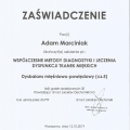 Powiększ obraz: certificate 23