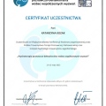 Powiększ obraz: certificate 28