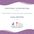 Powiększ obraz: certificate 28