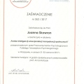 Powiększ obraz: certificate 7