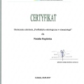 Powiększ obraz: certificate 7