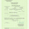 Powiększ obraz: certificate 11