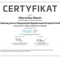 Powiększ obraz: certificate 3