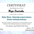Powiększ obraz: certificate 4