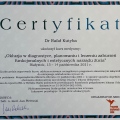 Powiększ obraz: certificate 28