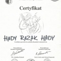 Powiększ obraz: certificate 65