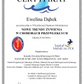 Powiększ obraz: certificate 13