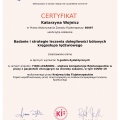 Powiększ obraz: certificate 39