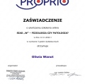 Powiększ obraz: certificate 45