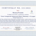 Powiększ obraz: certificate 1