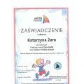 Powiększ obraz: certificate 11