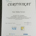 Powiększ obraz: certificate 9