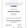 Powiększ obraz: certificate 3