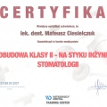 Powiększ obraz: certificate 1