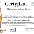 Powiększ obraz: certificate 11