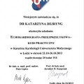 Powiększ obraz: certificate 8