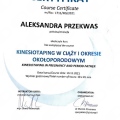Powiększ obraz: certificate 1