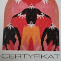 Powiększ obraz: certificate 12