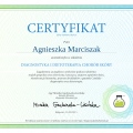 Powiększ obraz: certificate 9