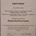 Powiększ obraz: certificate 71