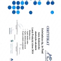 Powiększ obraz: certificate 2