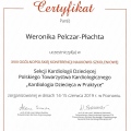Powiększ obraz: certificate 6