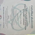 Powiększ obraz: certificate 8