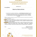 Powiększ obraz: certificate 4