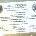 Powiększ obraz: certificate 42
