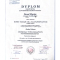 Powiększ obraz: certificate 3