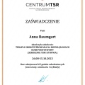 Powiększ obraz: certificate 1