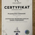 Powiększ obraz: certificate 2