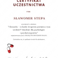 Powiększ obraz: certificate 7
