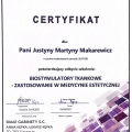 Powiększ obraz: certificate 4