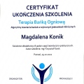 Powiększ obraz: certificate 5