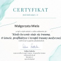Powiększ obraz: certificate 5