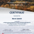 Powiększ obraz: certificate 6