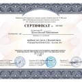 Powiększ obraz: certificate 3