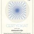 Powiększ obraz: certificate 10