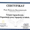 Powiększ obraz: certificate 7