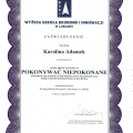 Powiększ obraz: certificate 3