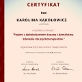 Powiększ obraz: certificate 7